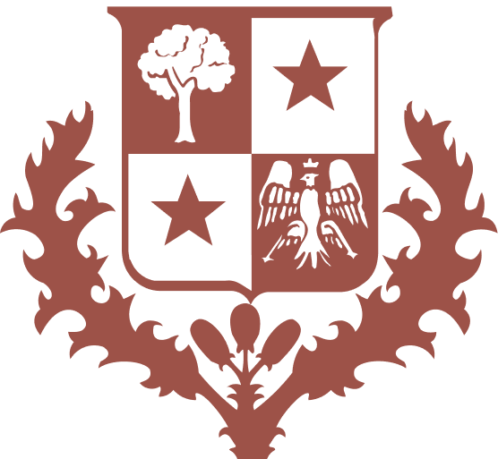 Kid's Tennis Walk Sneaker